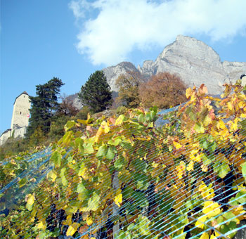 schloss rebberg